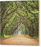 Charleston Sc Edisto Island - Botany Bay Road Wood Print
