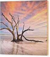 Charleston Sc Sunset Folly Beach Trees - The Calm Wood Print