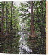 Charleston Swamp Wood Print