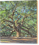 Charleston's Angel Oak Tree Wood Print