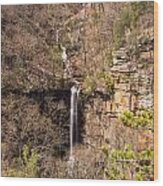 Chattanooga Falling Water Falls 1 Wood Print