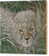 Cheetah Cub Wood Print