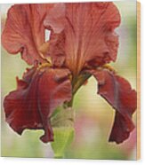 Chelsea Iris Wood Print