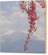Cherry Blossom And Mt Fuji, Spring In Wood Print