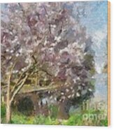 Cherry Blossom Tree Wood Print