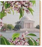 Cherry Blossoms And The Jefferson Memorial Wood Print