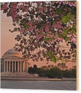 Cherry Blossoms Framing The Jefferson Memorial At Sunset Wood Print
