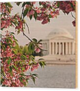 Cherry Blossoms Framing The Jefferson Memorial Wood Print