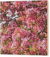 Cherry Blossoms In Washington D.c. Wood Print