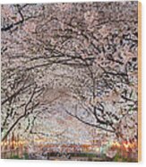 Cherry Blossoms Party Wood Print