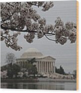 Cherry Blossoms With Jefferson Memorial - Washington Dc - 011345 Wood Print