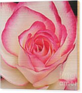 Cherry Parfait Rose Wood Print