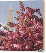 Cherry Trees And Washington Monument 5 Wood Print