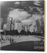 Chicago Architecture Wood Print