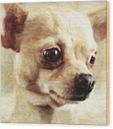 Chihuahua Dog - Painterly Wood Print