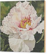 Chinese Tree Peony Wood Print