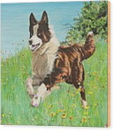 Chocolate Border Collie In Meadow Wood Print
