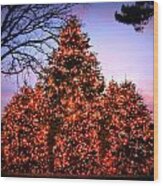 Christmas At The New York Botanical Garden Wood Print