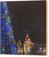 Christmas On The Common - Boston Wood Print