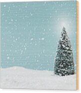 Christmas Tree Covering By Snow, Studio Wood Print