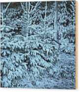 Christmas Tree In The Snow Wood Print