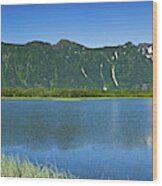Chugach Mountains At Prince William Wood Print
