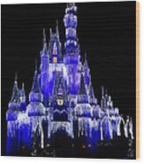 Cinderella's Castle Wood Print