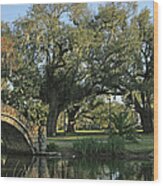 City Park New Orleans Louisiana Wood Print