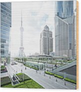 Cityscape Of Pudong Wood Print