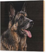 Classic German Shepherd Wood Print