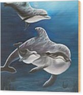 Clearwater Beach Dolphins Wood Print