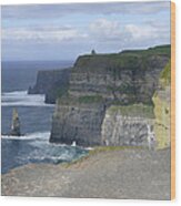 Cliffs Of Moher 4 Wood Print