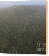 Clingmans Dome Observation Tower In The Great Smoky Mountains Wood Print