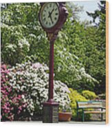 Clock In Park Wood Print