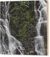 Closeup Of Steelhead Falls Wood Print