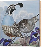 Cloudy California Quail Wood Print