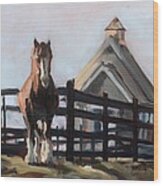 Clydesdale At Hermitage Hill Farm And Stables Wood Print