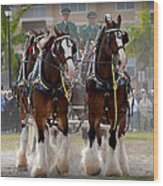 Clydesdales 4 Wood Print