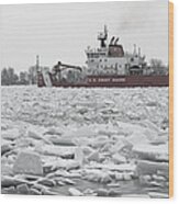 Coast Guard Cutter And Ice 6 Wood Print