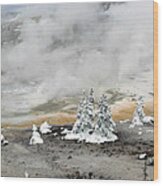 Norris Geyser Basin  Cold And Hot Trees Wood Print