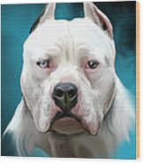 Cold As Ice- Pit Bull By Spano Wood Print