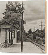 Cold Spring Train Station In Sepia Wood Print