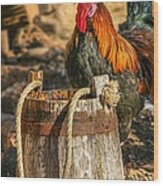 Coloful Rooster 2 Wood Print
