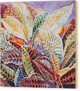 Color Patterns - Crotons Wood Print