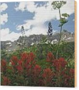 Colorado Wildflowers Wood Print
