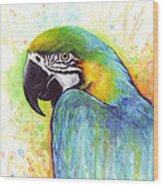 Macaw Watercolor Wood Print