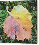 Colorful Fall Leaf Wood Print