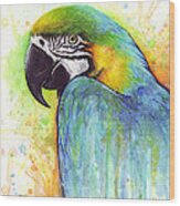 Macaw Painting Wood Print