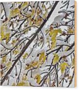 Colorful Maple Tree Branches In The Snow 3 Wood Print