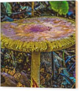 Colorful Mushroom Wood Print